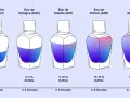 Eau de Parfum oder Eau de Toilette: So wählen Sie den besten Duft