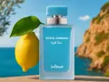 D&G Eau de Parfum: Welcher Duft passt zu Ihnen? Entdecken Sie!